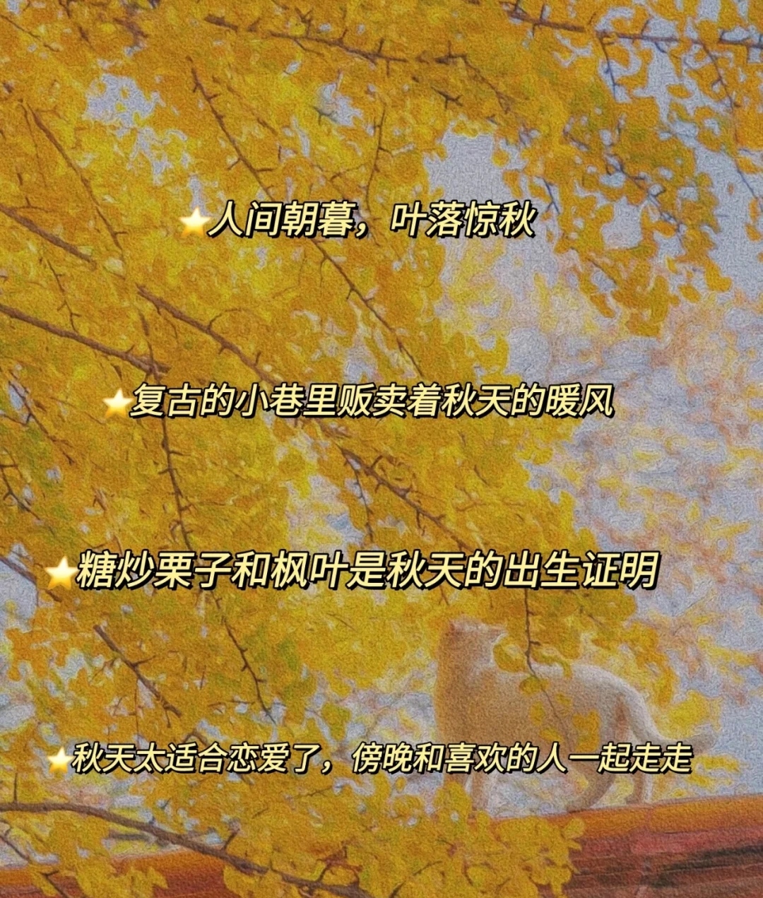 关于“秋天”的小众文案｜值得收藏-猪文网