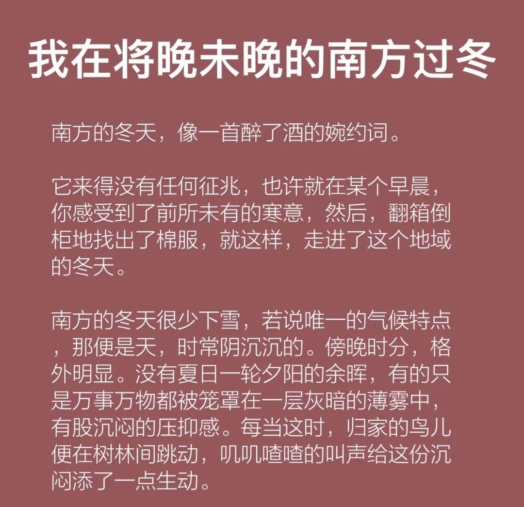 我在将晚未晚的南方过冬-猪文网