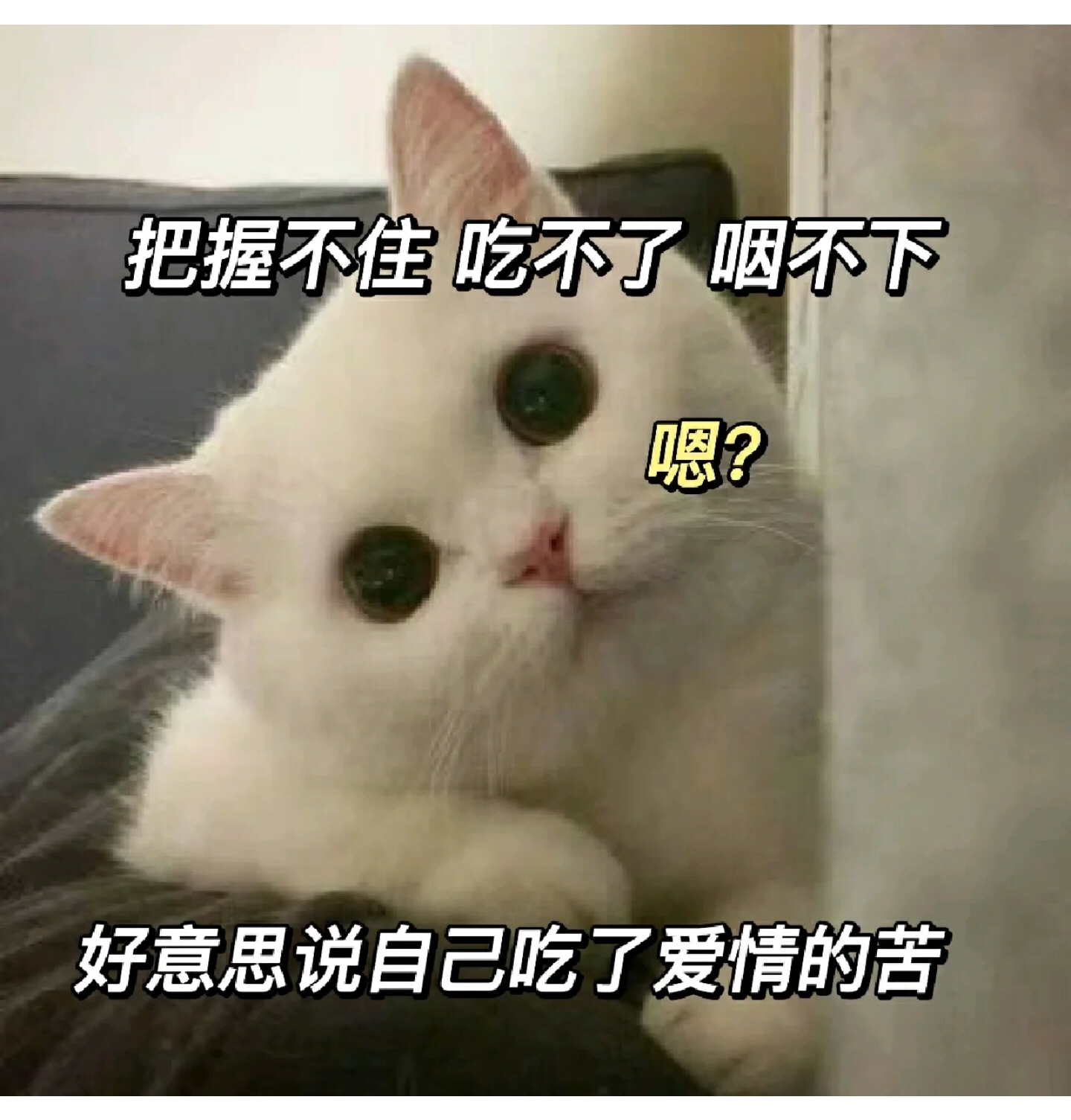 情侣间糟糕的沟通行为-猪文网