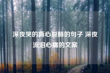 深夜哭的撕心裂肺的句子 深夜流泪心痛的文案-猪文网