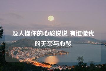 没人懂你的心酸说说 有谁懂我的无奈与心酸-猪文网