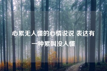 心累无人懂的心情说说 表达有一种累叫没人懂-猪文网