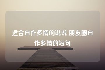 适合自作多情的说说 朋友圈自作多情的短句-猪文网