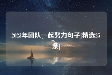 2023年团队一起努力句子[精选25条]-猪文网